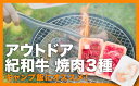 【ふるさと納税】 食べきりアウトドア紀和牛3種セット　600g　TM-30