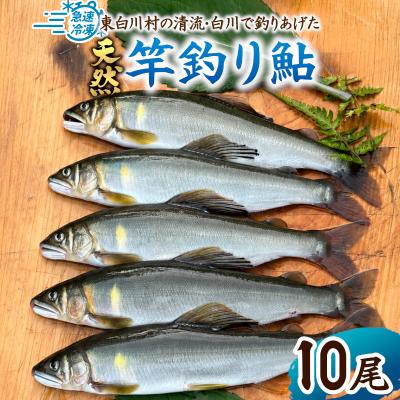ふるさと納税 東白川村 清流白川 天然鮎 10尾 冷凍 鮎 あゆ 川魚 東白川村産
