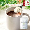 【ふるさと納税】［お試し］青パパイアパウダー（40g×1袋）皮なし粉末タイプ ポスト投函