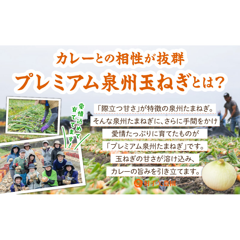 射手矢農園 カレー 2箱セット G3705_イメージ3