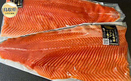 B24-462 琴浦　グランサーモンフィーレ(総目方1kg~1.2kg） 【数量限定】