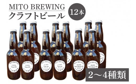 第１回水戸さきがけビジネス大賞 優秀賞受賞！クラフトビール12本詰め合わせ【お酒 クラフトビール ビール ふるさと納税 水戸市 茨城県】（GW-2）