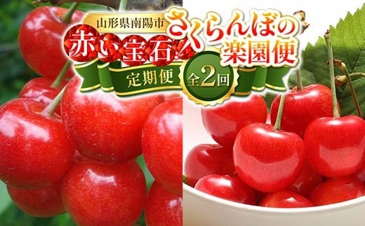 【令和8年産先行予約】 《定期便2回》 赤い宝石！さくらんぼの楽園便 「佐藤錦・紅秀峰」 各約800g (約200g×4パック 秀 L以上) 『フードシステムズ』 サクランボ 果物 フルーツ 山形県 南陽市 [894]