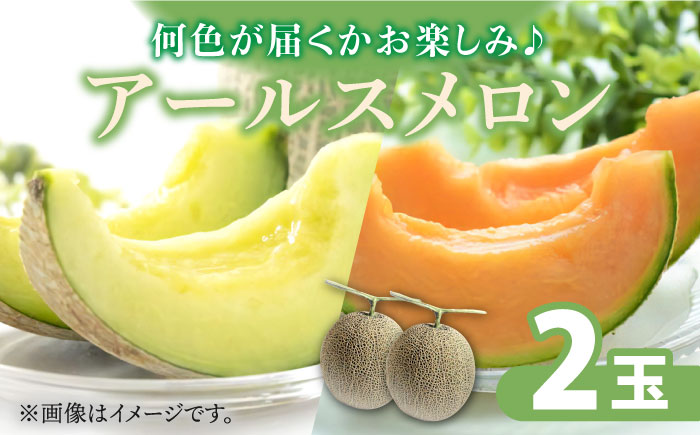 【2025年11月～発送】アールス メロン (2玉) / 青肉 果物 フルーツ / 南島原市 / JA島原雲仙東南部基幹センター [SAC004]