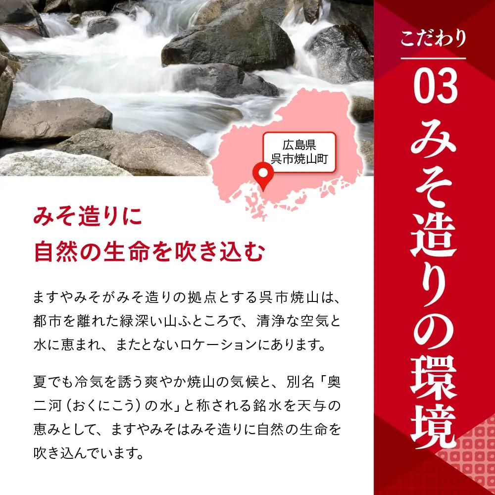 味噌 750g 6個 母さんの味 広島県 呉市 味噌 ますやみそ