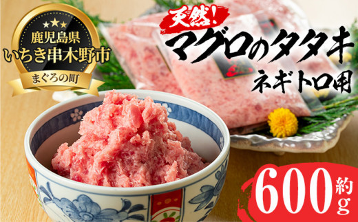 ネギトロ用 マグロ の タタキ 冷凍 小分け 約200g×3袋 計600g キハダマグロ・メバチマグロ 使用 マグロのたたき 自宅で ねぎとろ丼 鮪 ネギトロ ハンバーグにも! マグロ たたき まぐろ 赤身 まぐろ 小分け ふわっとした食感のまぐろ ネギトロ おさかなコーディネータもおすすめの マグロ たたき 【海鮮まぐろ家】 【A-1661H】