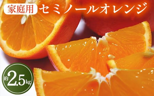 【先行予約】【春の美味】【農家直送】爽快カンキツ　セミノールオレンジ（ご家庭用）約2.5kg ｜ 柑橘 フルーツ 果物 くだもの 食品 人気 おすすめ 選べる 国産 美浜町