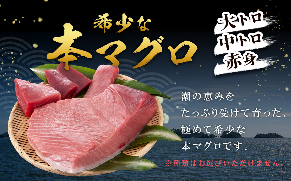 本マグロ トロ+赤身セット 500g | 【年末年始お届け可能】大トロ 中トロ 鮪 刺身 寿司 お正月