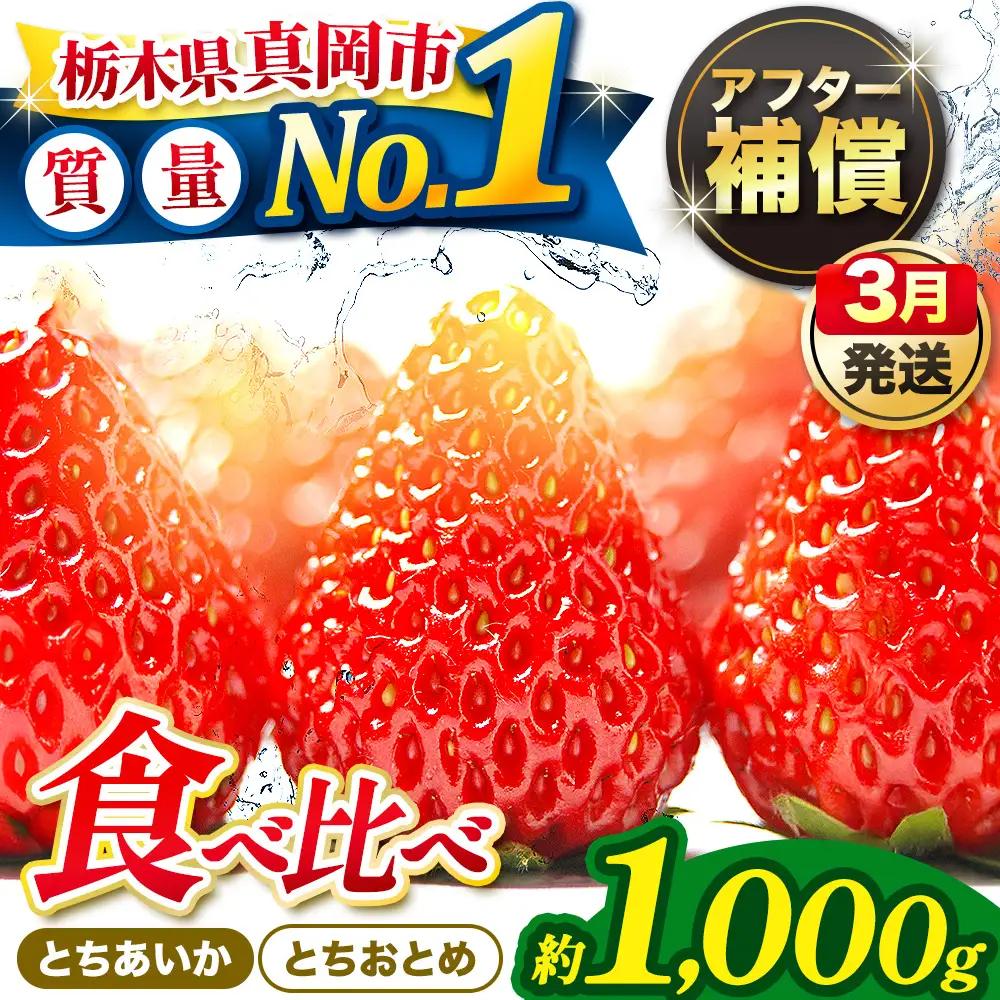 【先行予約受付中】【2027年3月発送】いちご とちおとめ・とちあいか 食べ比べ 1,000g