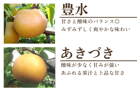 【2025年先行予約】【30セット限定】 旬の和梨 年6回定期便 和梨6品種食べ比べ （豊水・あきづき・新美月・新王・新高・新興） 各3kg 合計18kg《9月中旬から順次発送》 旬の和梨をお届け 頒