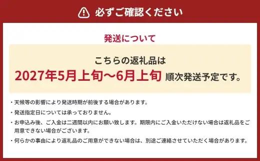金色羅皇 1玉入り 3L以上 約8kg スイカ すいか 西瓜 プレミアムスイカ 果物 くだもの フルーツ 果実 果汁 果肉 甘み 希少性 国産 熊本県産 【 2027年5月上旬～6月上旬発送予定 】