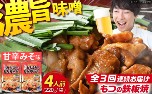 【3回定期便】岐阜県産豚もつの鉄板焼き「元祖みたけとんちゃん」甘辛みそ味（4人前） / モツ もつ 白もつ ホルモン / 御嵩町 / 藤よし [AVAA018]