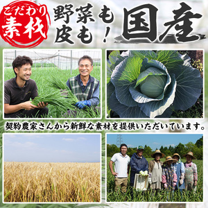 No.1327-n ＜3ヶ月以内に発送＞鹿児島黒豚使用の黒豚生餃子(計36個・12個入り×3パック)国産 九州産 ぎょうざ ギョウザ 冷凍 黒豚 豚肉 お肉 おかず【末永商店】【429】【861】