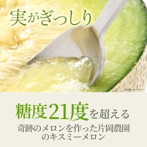 来年2026年先行予約！メロン めろん 糖度21度以上！奇跡の キスグリーンメロン 1玉 青肉 人気 おすすめ キスグリーン 甘い 濃厚 高糖度 自家栽培 メロン 贈答用 贈り物 プレゼント 送料無料