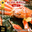 【ふるさと納税】【訳あり】越前がに本場の越前町からお届け！越前がに 足折れ 浜茹で 中サイズ1杯（生で600〜700g）地元で喜ばれるゆで加減・塩加減【かに カニ 蟹 雄 ズワイガニ ボイル 冷蔵】【1月発送分】希望日指定可 備考欄に希望日をご記入ください [e23-x001_01]