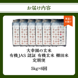 大幸園の玄米 6回定期便 有機JAS 認証 有機米 棚田米 5kg 米 国産 玄米 有機栽培 無農薬 甘い お米 九州産 オーガニック 福岡県 八女市 184-T004