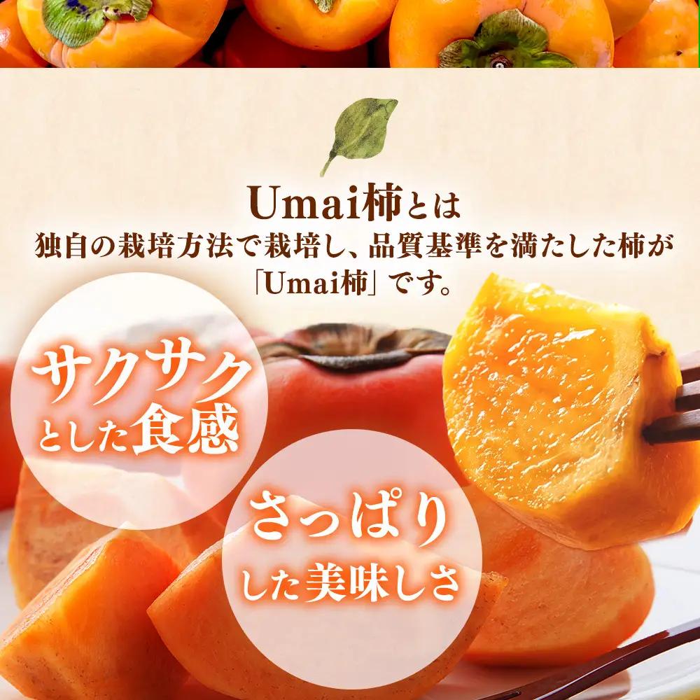 【先行予約】Umai 柿 富有 プレミアム 6玉 2.0kg ※2026年11月中旬～12月中旬頃に順次発送予定