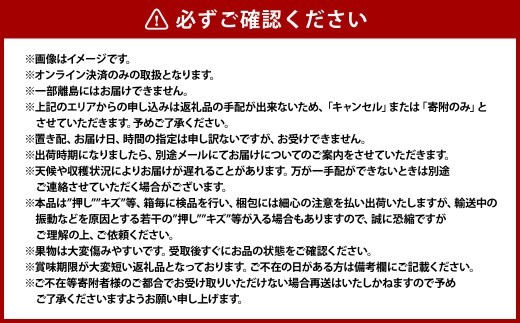 岡山の白桃 （大玉 ／ 早生種） 3玉 （合計約840g