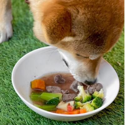 ふるさと納税 御代田町 軽井沢鹿工房　愛犬用鹿肉　手作り食応援セット |  | 02
