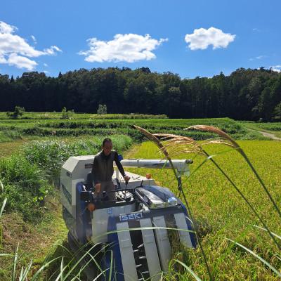 ふるさと納税 与謝野町 【毎月定期便】大江山蛇紋岩成分の影響を受けたミネラル豊富な棚田で育ったコシヒカリ精米5kg全3回 |  | 03