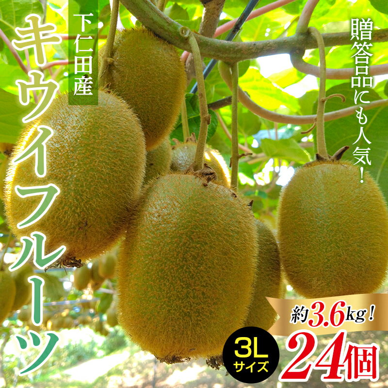 【ふるさと納税】 ＜先行予約＞ 2年連続受賞「A品数量限定」 下仁田町のキウイフルーツ 約3.6kg(1玉3Lサイズ150g以上) キウイ フルーツ キウイフルーツ デザート 果物 贈答品としても人気！ 手土産 おみやげ フレッシュ F21K-331
