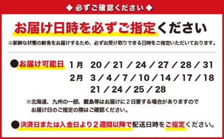  贅沢魚介だし！漁師の水炊き鍋セット　5人前　HA-4 