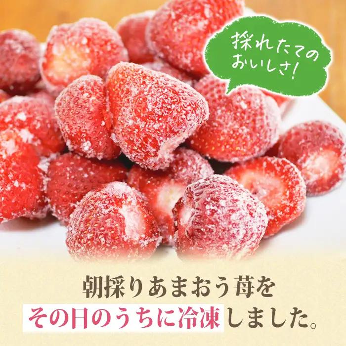 ＜先行予約受付中！2027年1月中旬以降順次発送予定＞冷凍 あまおう(計2kg・1kg×2袋) いちご イチゴ 苺 あまおう 冷凍いちご 冷凍イチゴ 国産 福岡県 果物 フルーツ アイス 冷凍フルーツ