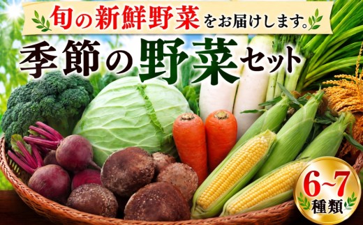 季節の野菜セット 6～7種 詰め合わせ 約3～5kg ブロッコリー キャベツ スナップエンドウ ビーツ 人参 大根 メロン スイカ トマト ミニトマト ナス トウモロコシ オクラ ウリ かぼちゃ さつまいも しいたけ 白菜 キャベツ にんじん ほうれん草 小松菜 春菊 かぶ 落花生 いちご 今井農園 千葉 東金
