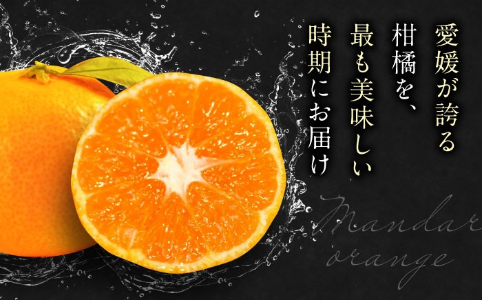 フルーツの代表！冬の定番果物！赤秀 愛媛県産 早生みかん 5㎏箱（50玉～80玉）