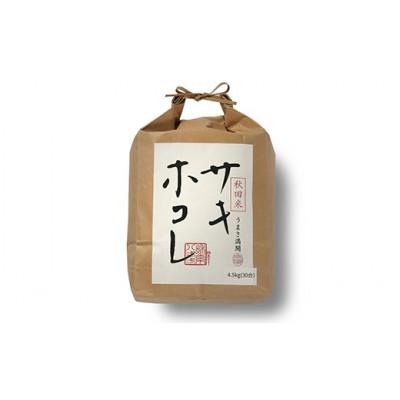 ふるさと納税 大潟村 【先行受付】令和6年産　サキホコレ　白米4.5kg(30合) |  | 01