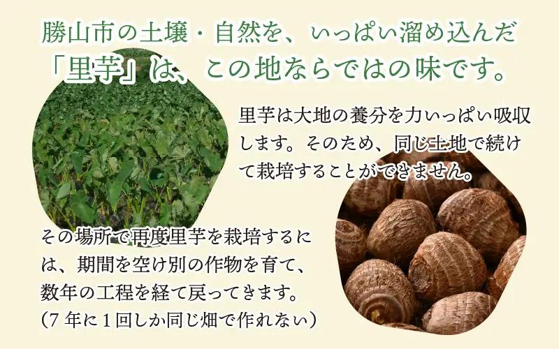 里芋 令和8年産 かつやま里芋 5kg 先行予約 [A-005013]