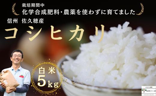 
炊きあがりのつやと香りが良く、うま味も強い　コシヒカリ　５kg　佐久穂とさや農園〔ST-W5-1〕
