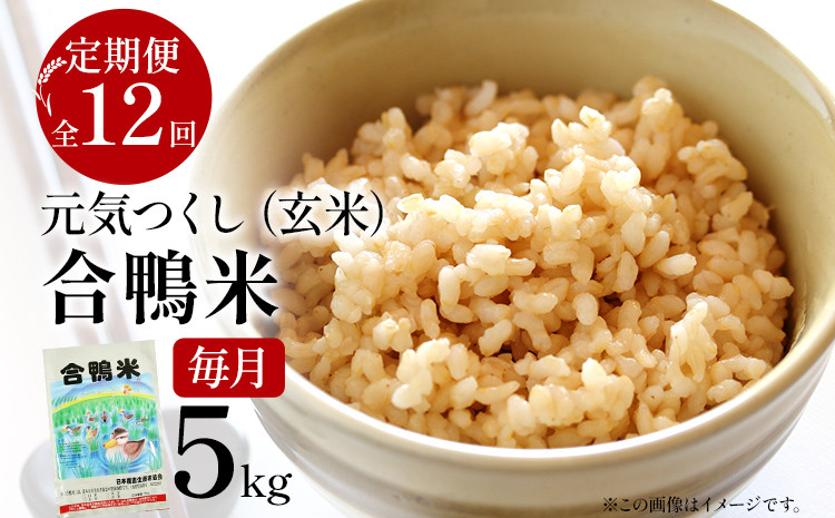 
令和6年産 予約 合鴨米「元気つくし」（玄米・5kg）定期便12回コース　数量限定 ※令和6年10月中旬スタートの定期便 BI11
