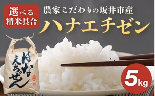 【令和8年産】農家こだわりの坂井市産 ハナエチゼン 5kg 【玄米】 【米 コメ お米 華越前 5キロ ふるさと納税米 ブランド米 国産】 [A-10214_02]