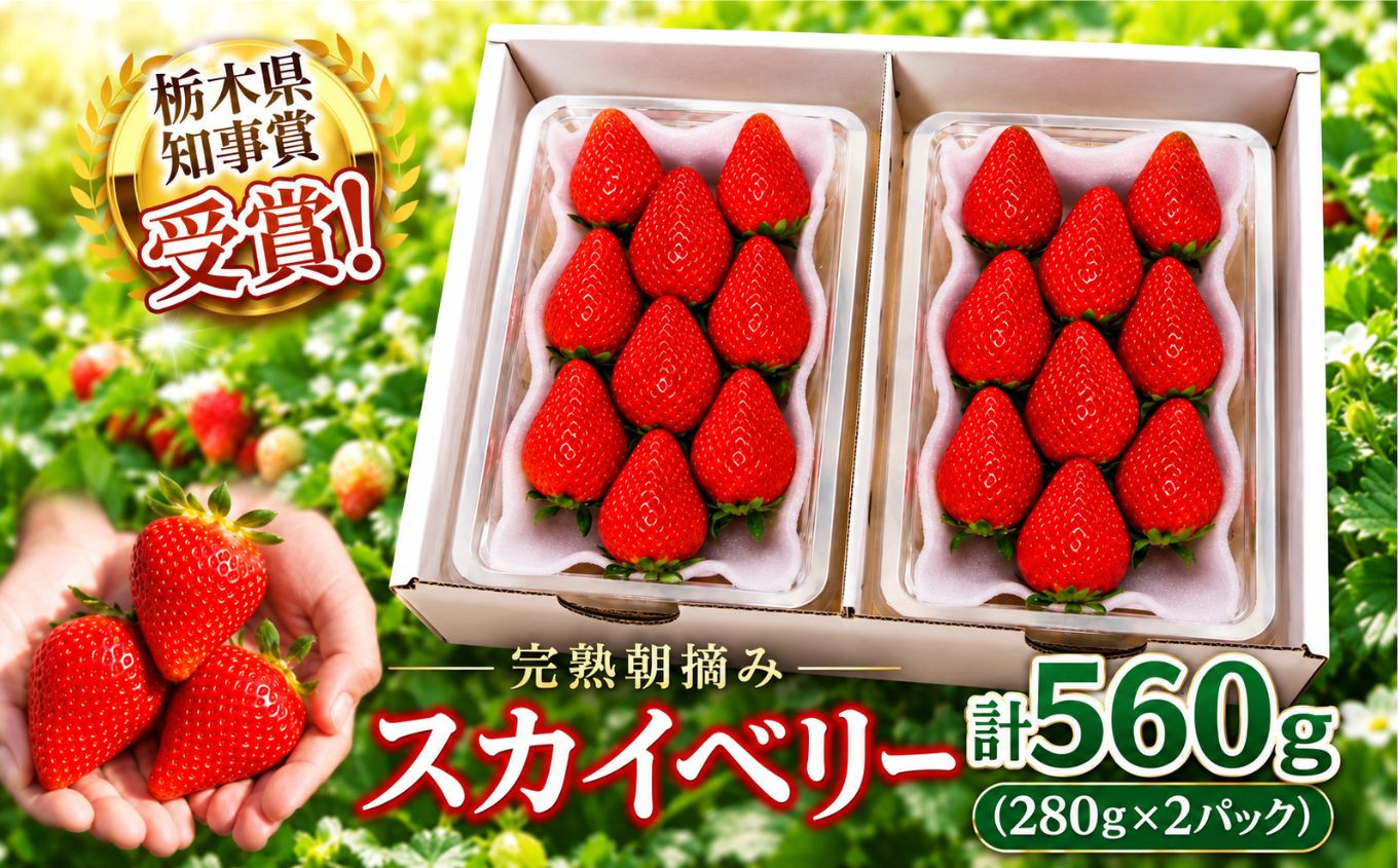頬張る幸せ★大粒 「スカイベリー」 560g (280g×2P)| 澳原いちご農園 栃木県 矢板市 スカイベリー2P｜8000円