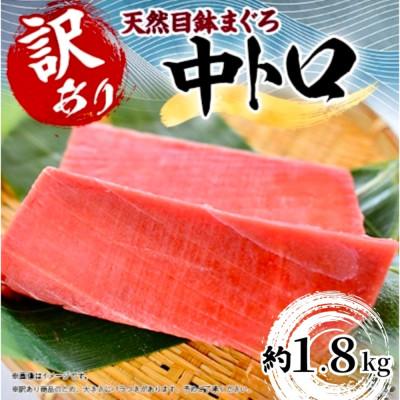 ふるさと納税 横須賀市 【訳あり】天然まぐろ 中トロ メバチ 計約1.8kg (8柵入り) 横須賀商工会議所:本まぐろ直売所