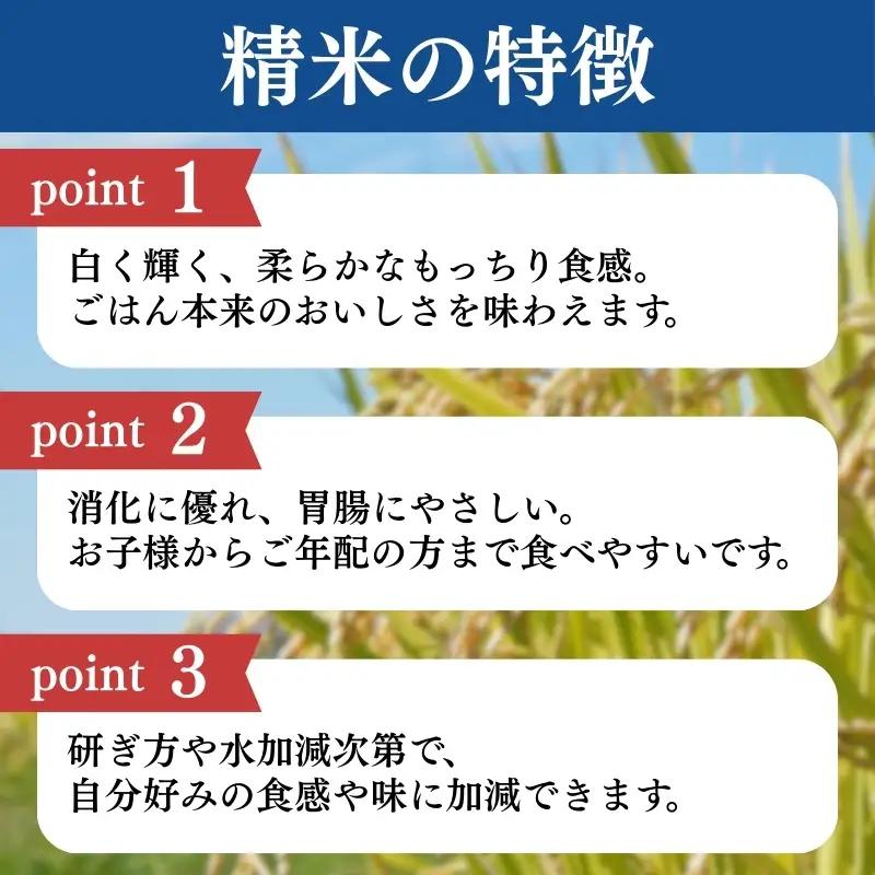 【3か月定期便】こしひかり 精米 上越産 こしひかり 3kg