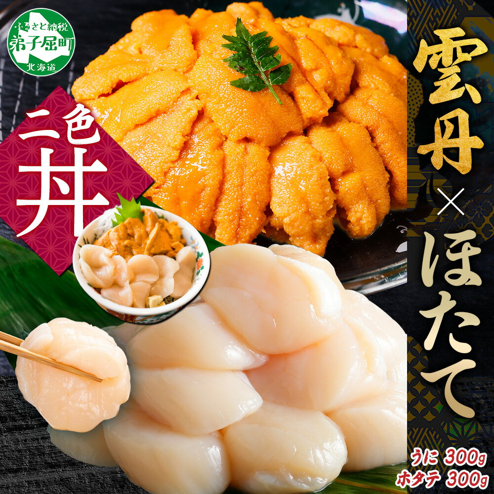 【ふるさと納税】 3341.うに 300g ホタテ300g ほたて ウニ チリ産 冷凍 セット ファミリー 雲丹 帆立 大粒 生ほたて 海鮮 送料無料 北海道 弟子屈町