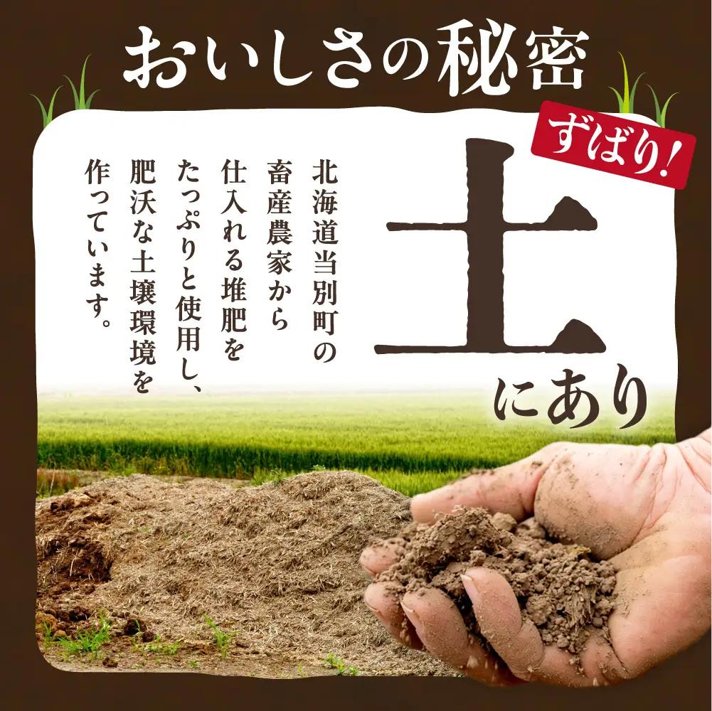 【令和9年度産先行受付】生にんにく（福地ホワイト六片種）1kg にんにく