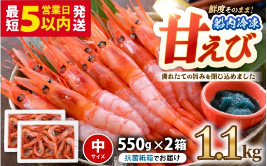 甘えび (中サイズ) 約1.1kg (550g×2箱)  1箱：約40尾前後 天然・鮮度抜群！  国産・無添加 「共栄丸」直送船内瞬間冷凍 海老 ホッコクアカエビ 冷凍エビ 甘エビ えび エビ アマエビ 殻付きエビ 甘海老 生食 刺身 冷凍 海鮮 魚介類 魚貝類 産地直送 国産 三国 人気 [A-23109]