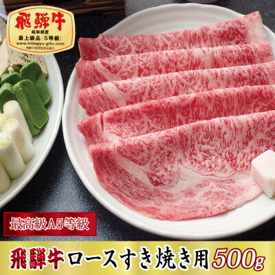 【ふるさと納税】【最高級A5等級】飛騨牛ロースすき焼き用500g(牛脂付き)【配送不可地域：離島】【1488862】