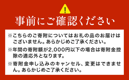 菊池市への寄附(返礼品はありません) 熊本県 菊池市 返礼品なし 10,000円