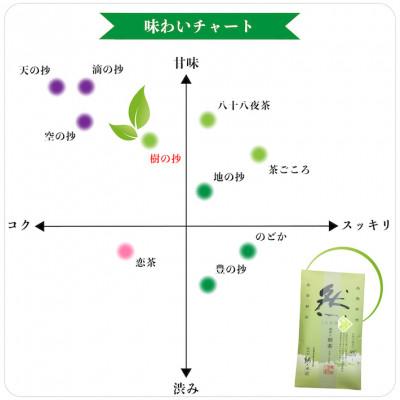 ふるさと納税 八女市 綺麗な「然」パッケージ!樹の抄(いつきのしょう)100g入り5袋セット |  | 01