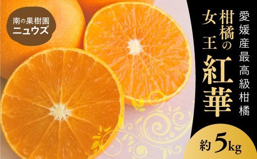 紅華（生果）約５kg ※2024年11月下旬～12月下旬頃に順次発送予定