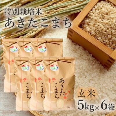 ふるさと納税 能代市 令和7年産 玄米 あきたこまち 30kg (5kg×6袋)  特別栽培米[No.5335-0357]