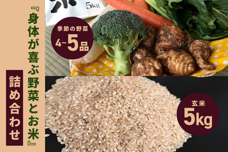 ＜玄米 5kg＞『身体が喜ぶ野菜とお米』詰め合わせ おまかせセット 茨城県産 コシヒカリ 米 お米 ご飯 ごはん 栽培期間中農薬不使用 季節の野菜 セット 微生物農法 EM農法 有機栽培 産地直送 新鮮 家庭用 潮来はぐくみのもり 茨城県 潮来市 (017-0099)