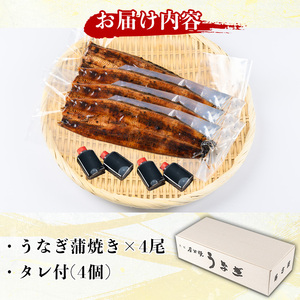 国産！うなぎ蒲焼き(4尾・タレ付き) 国産 九州産 鹿児島県 宮崎県 鰻 ウナギ unagi うな重 うな丼 ひつまぶし うなじゅう 蒲焼 かばやき 白焼 しらやき 無頭 魚 魚介類 土用 丑の日 タ