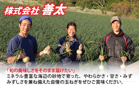 【先行予約】新玉フルーツ玉ねぎ4kg【サイズ色々】※2026年3月中旬頃より順次発送予定