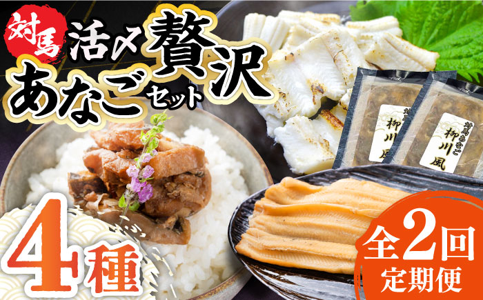 
                  【全2回定期便】対馬産 あなご 贅沢 セット 《対馬市》【対馬地域商社】九州 長崎 煮あなご 佃煮 アナゴ [WAC054]
                