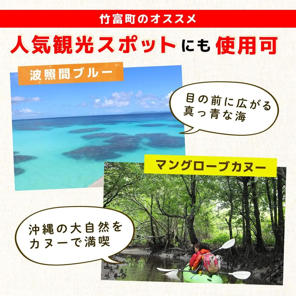 沖縄県竹富町 日本旅行 地域限定旅行クーポン 60,000円分（Eメール発行）【チケット 旅行 宿泊券 ホテル 観光 旅行 旅行券  体験 宿泊 夏休み 冬休み 家族旅行 ひとり カップル 夫婦 親子